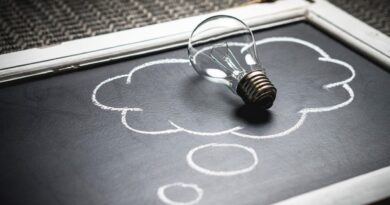 How to Manage Risk at Your Business