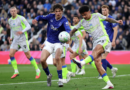 Rohl gives verdict on Everton penalty claim