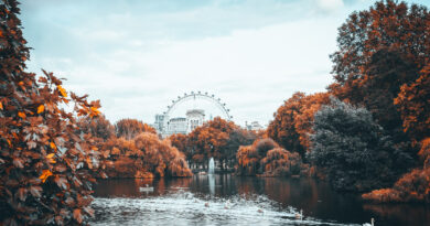 8 Ways to Enjoy Autumn in London