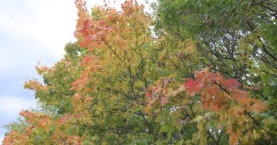 The Summer-to-Autumn Colour Palette That Works All Year Round
