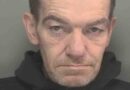 Man jailed for hiding arson suspect in bin
